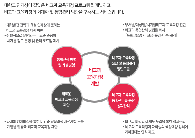 비교과 교육과정 개발