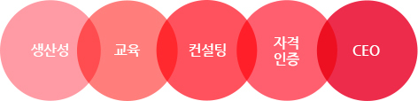 생산성, 교육, 컨설팅, 자격인증, CEO